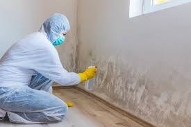 Best Real Estate Mold Inspection in USA